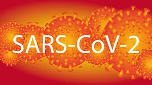 Komórki wirusa w pomarańczowym kolorze z napisem SARS-CoV-2 